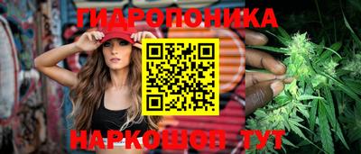 a pvp Можайск