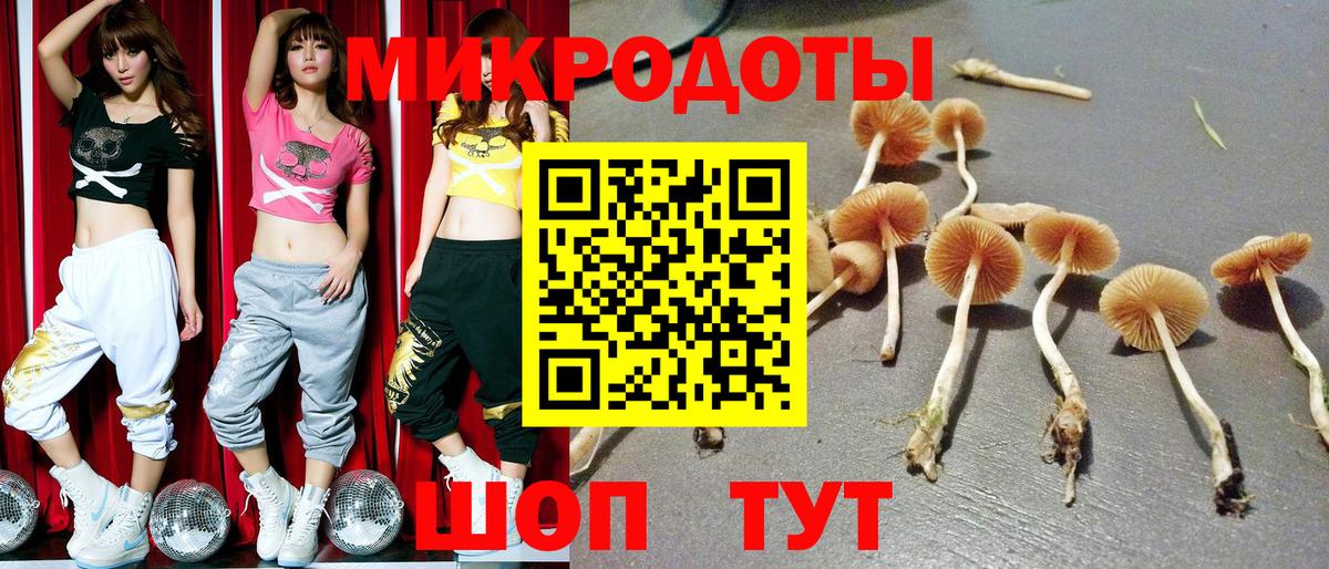 Галлюциногенные грибы Psilocybine cubensis  Вход с VPN  Галлюциногенные грибы прущие грибы  Усть-Джегута 